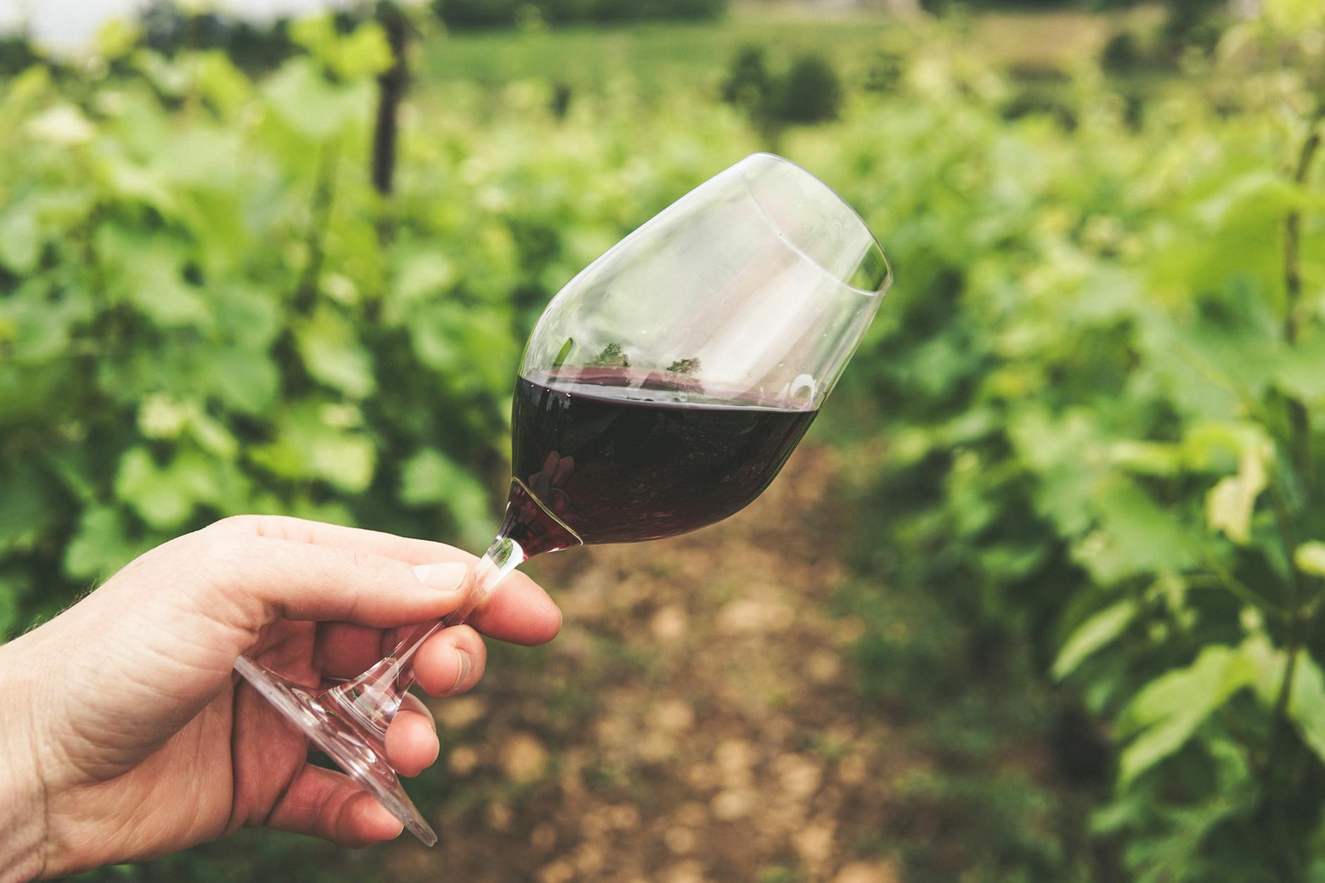 GUIDA COMPLETA – “Perché se hai un agriturismo o un’azienda vinicola, il trust è la protezione che non sapevi di volere (ma di cui hai un disperato bisogno)”